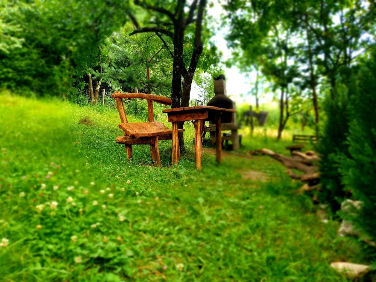 Mystically Wood House In The Forest Carjari Esterno foto