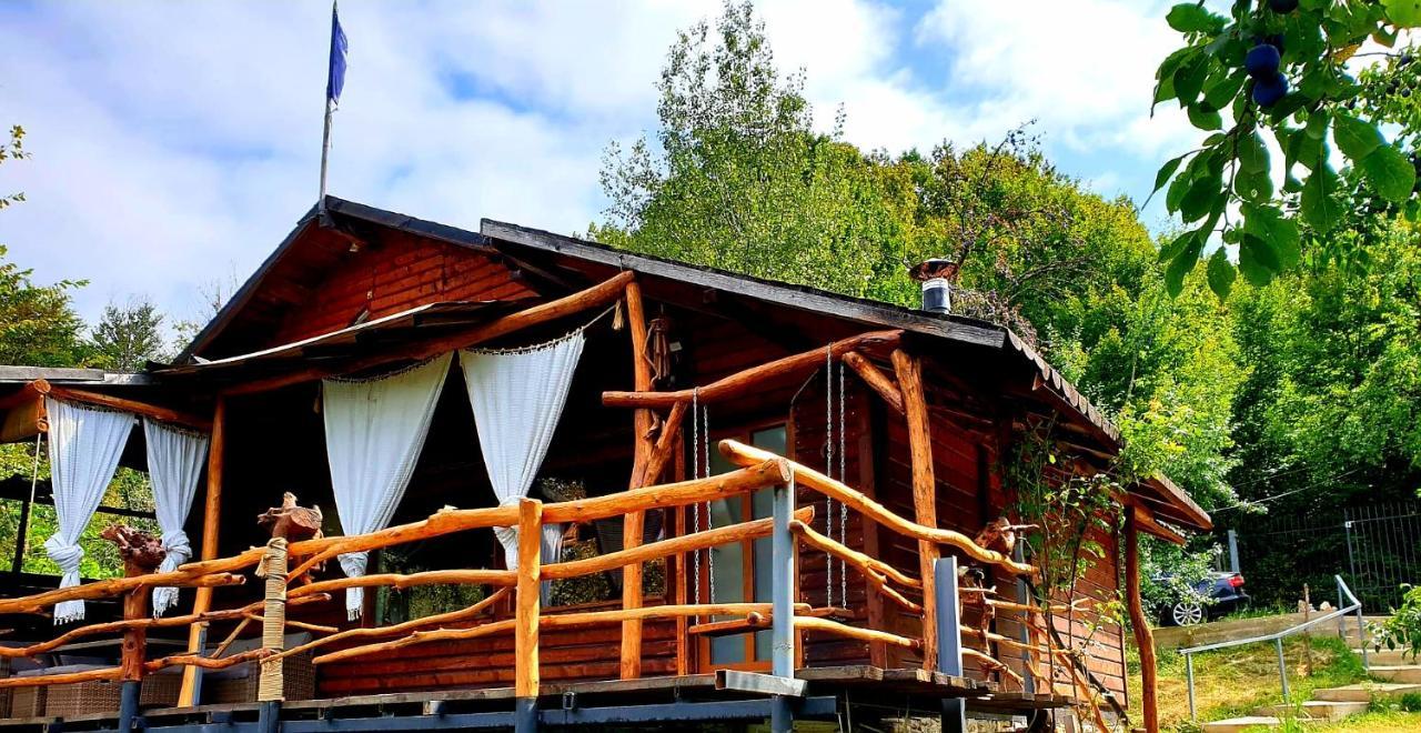 Mystically Wood House In The Forest Carjari Esterno foto