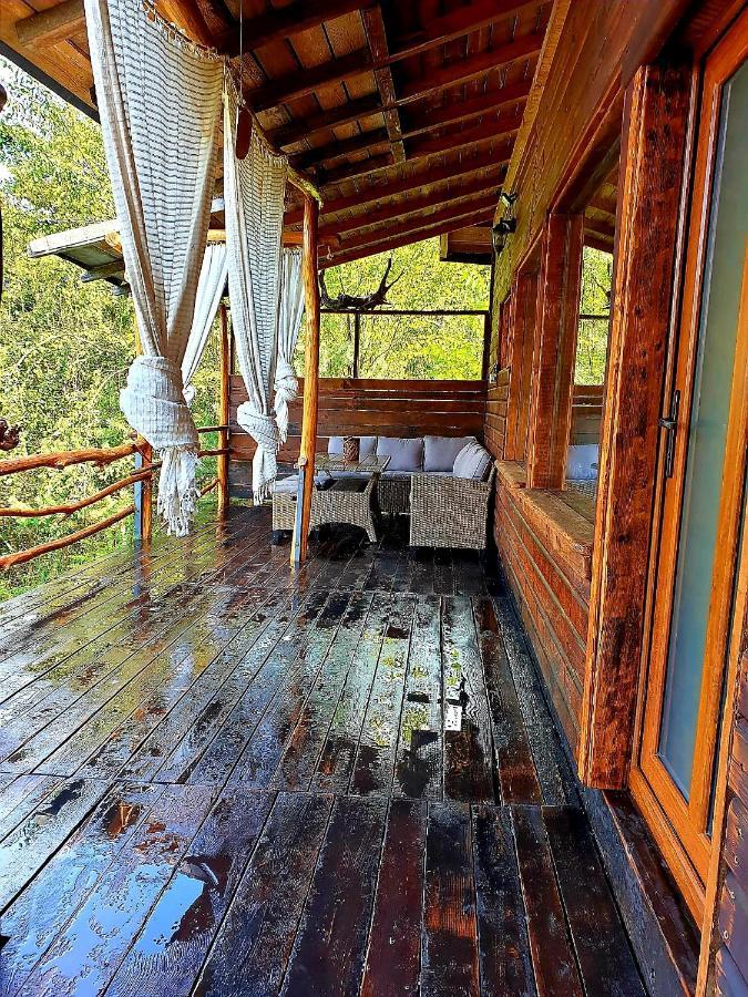Mystically Wood House In The Forest Carjari Esterno foto