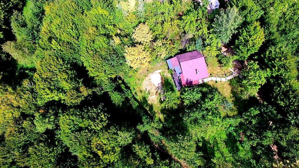 Mystically Wood House In The Forest Carjari Esterno foto